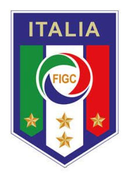 stemmaFIGC