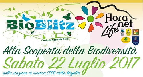 BioBlitz